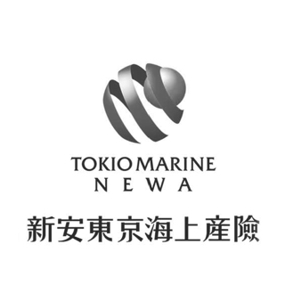 新安東京海上產險企業Logo